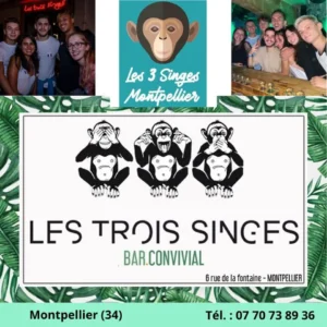 ​Bar Rencontre Événement à Montpellier 34