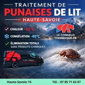 Traitement des Punaises de Lit en Haute-Savoie : Pourquoi Choisir l’Expertise Thermique ?